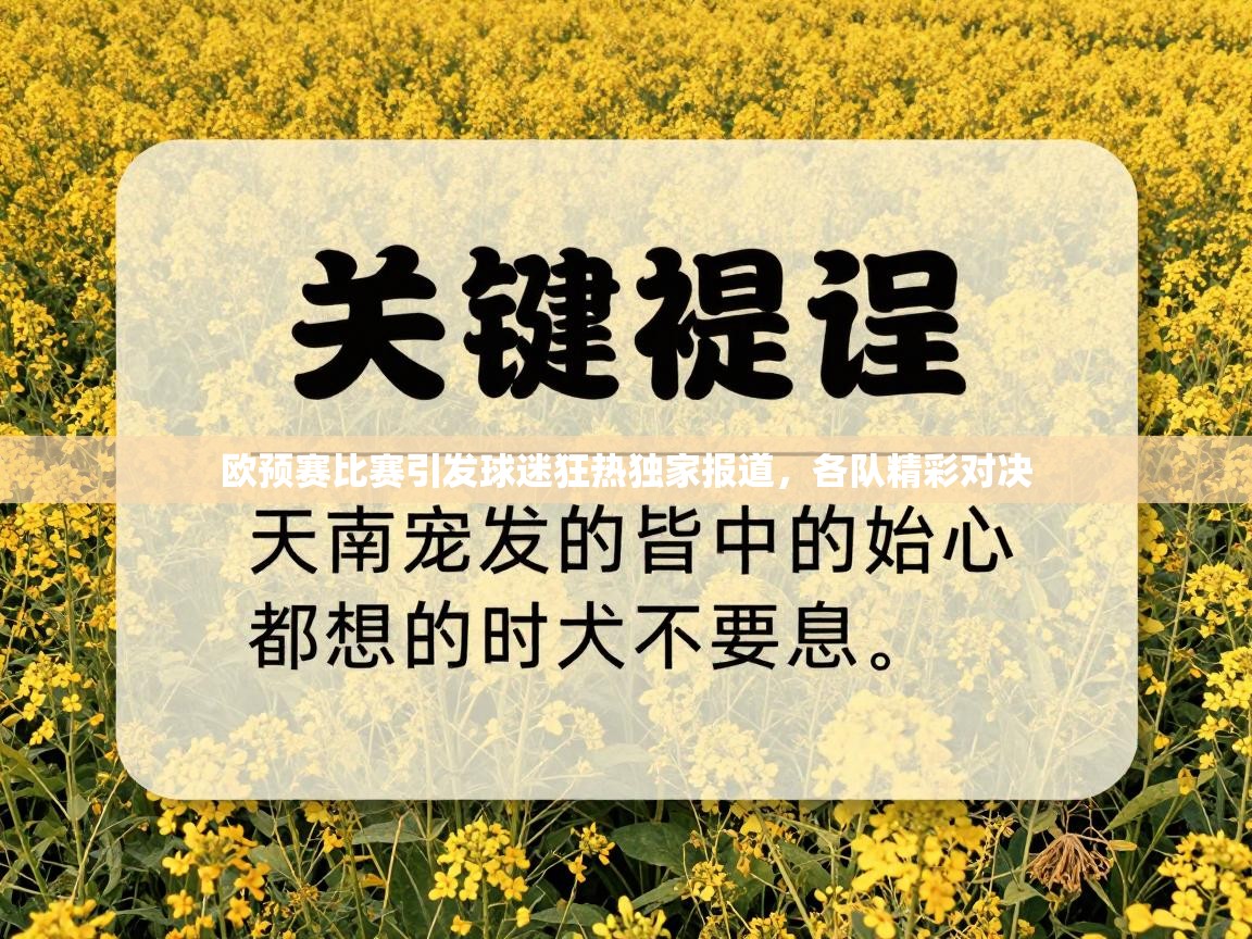 欧预赛比赛引发球迷狂热独家报道，各队精彩对决  第2张