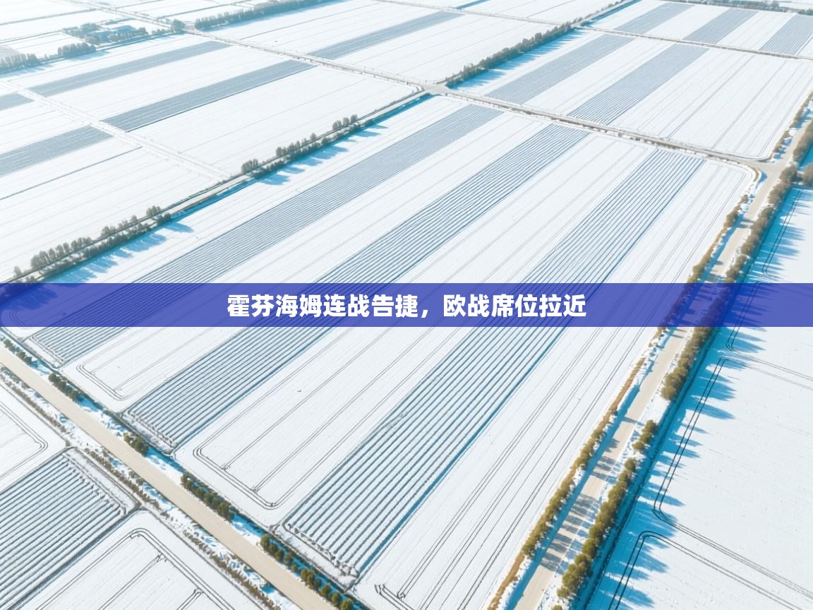 霍芬海姆连战告捷,欧战席位拉近 第2张